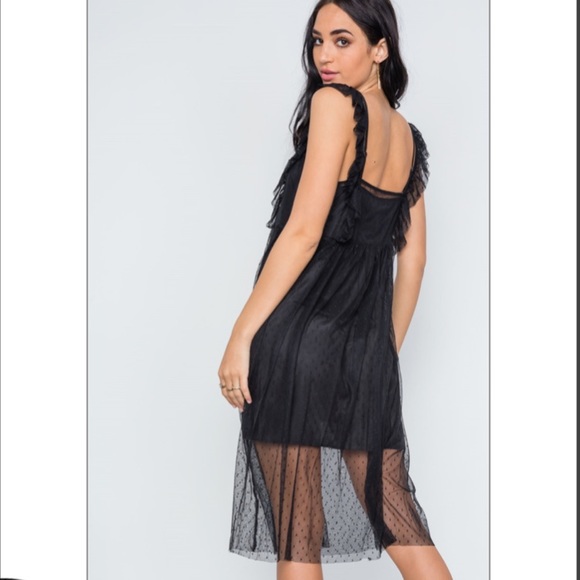 Sheer Dress With Slip - Picture 2 of 8